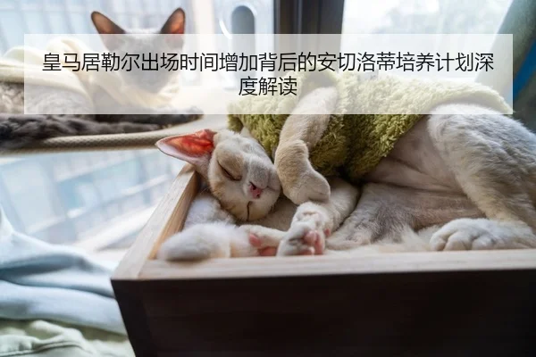 皇马居勒尔出场时间增加背后的安切洛蒂培养计划深度解读