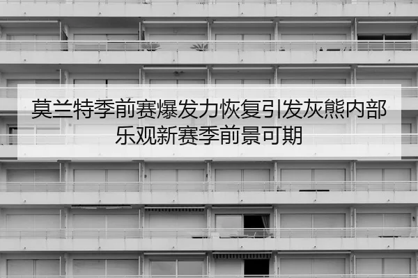莫兰特季前赛爆发力恢复引发灰熊内部乐观新赛季前景可期